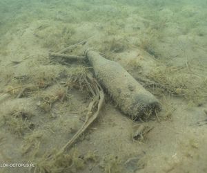 jezioro Tarnobrzeskie Niezwykła akcja płetwonurków
