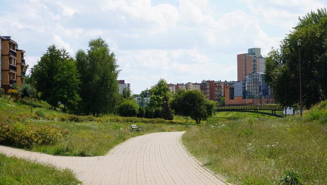 Lublin. „Filary porośnięte bluszczem” i nie tylko. Park Jana Pawła II w lipcowej odsłonie