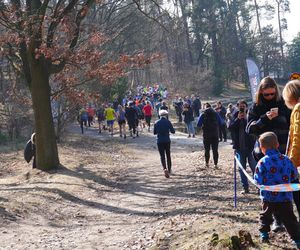 City Trail 2025. Miłośnicy biegania walczyli przy Zalewie Zemborzyckim w Lublinie