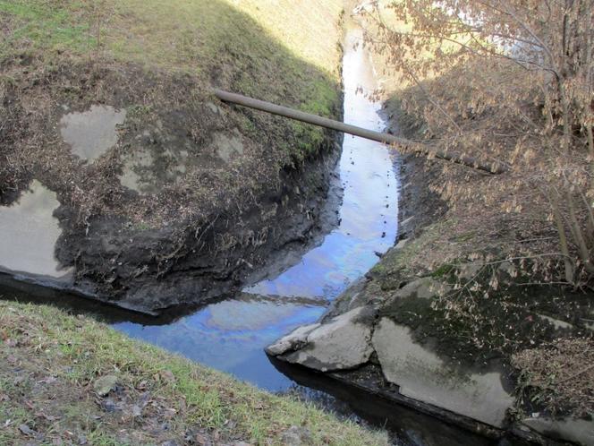 Strażnicy miejscy odkryli skażoną wodę w kanałku obok lotniska!