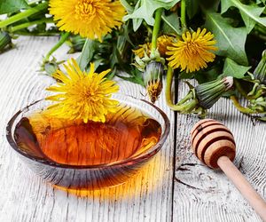 Syrop z mniszka lekarskiego - leczniczy miód z kwiatów mniszka