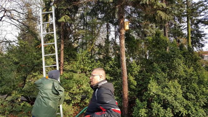  Budki lęgowe zawisły w bydgoskim Ogrodzie Botanicznym UKW w Bydgoszczy