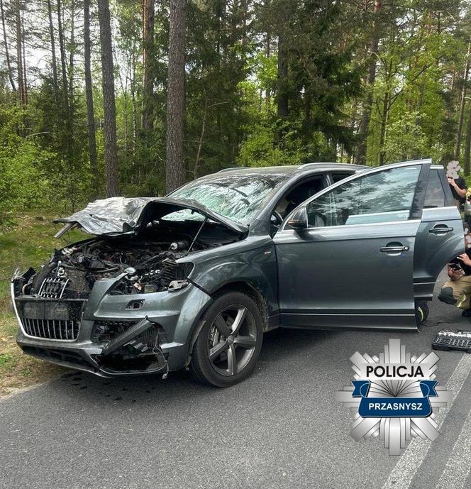 Kierowca audi potrącił łosia. Pechowe zderzenie zakończyło się śmiercią