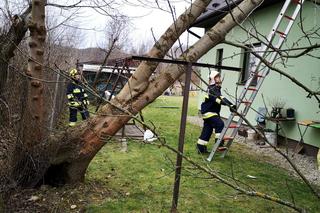 Straż pożarna zachodniopomorskie