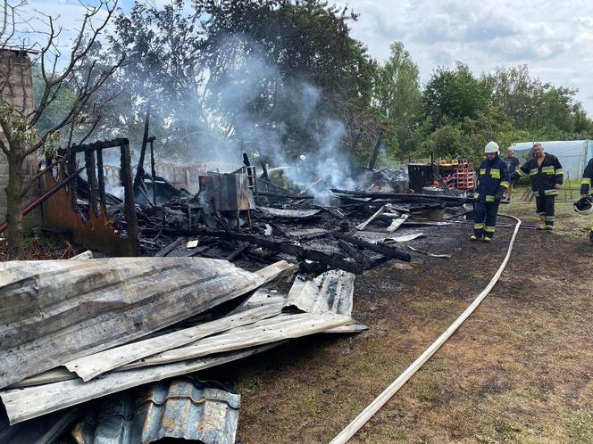 Mąż zgotował pani Dominice piekło. Trafi do więzienia na 3 lata