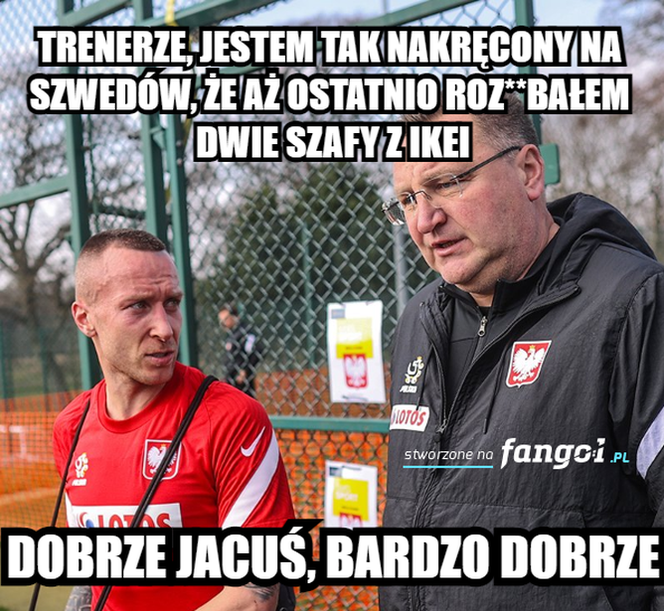 MEMY po meczu Polska - Szwecja