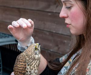 Nowość w autach poznańskiej Straży Miejskiej! To w trosce o najmniejsze zwierzaki 