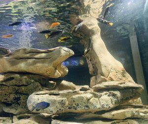 Rozmawiamy z Tomaszem Wiśniewskim, założycielem Aqua Dreams Bydgoszcz