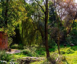 Park Fosa i Stoki Cytadeli w Warszawie