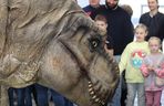 Tak wyglądał Zoopark 2024 w Lublinie! Zobacz zdjęcia