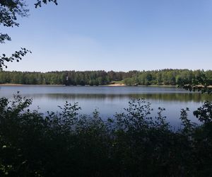 To piękne kujawsko-pomorskie jezioro, które warto odwiedzić. Jest mniej znane, nie ma tłumów [GALERIA]