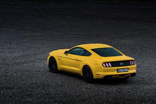 2015 Ford Mustang 5.0 V8