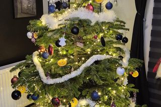 Żywe i sztuczne. Nasi Czytelnicy pochwalili się swoimi choinkami. Zobacz zdjęcia!