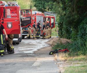 Malutka Ania miała trafić do domu dziecka, ale zginęła wraz z babcią w pożarze