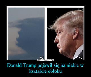 Trump w Polsce: Memy