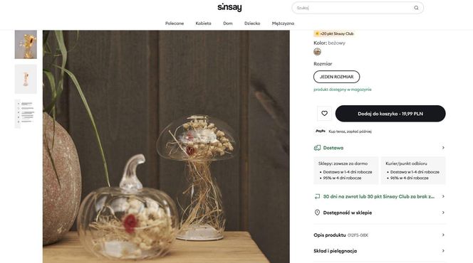 Jesień w Sinsay 2025