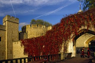 Długi czerwcowy weekend w Londynie. Podpowiadamy, jak spędzić czas w stolicy Wielkiej Brytanii