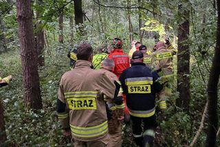 Szczęśliwy finał poszukiwań. Fresh odnalazł seniorkę, która zaginęła w lesie