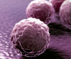 Chlamydia trachomatis (chlamydie): trzy gatunki, różne choroby