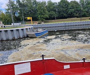 Złota alga zaatakowała Kanał Gliwicki we wrześniu 2025 roku