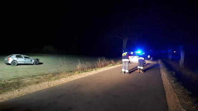 Sierpc. POWAŻNY WYPADEK! Zmiażdżone auto z kobietą za kierownicą! [ZDJĘCIA]