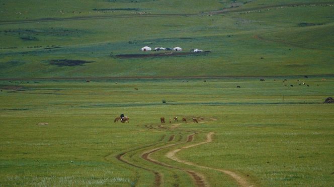 Mongolia, stepy i Karakorum