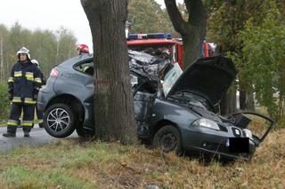 Wypadek w Krapkowicach