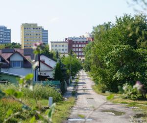 Bystrzyca oddziela dwie dzielnice: Rury i Za Cukrownią. Jak prezentuje się ta część Lublina w letniej odsłonie? ZOBACZ ZDJĘCIA