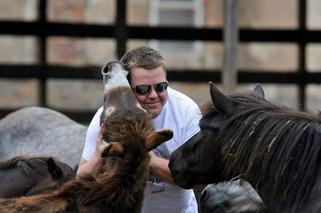 500 koni i setki psów umrą przez koronawirusa? Dramat w azylu dla zwierząt w Legnicy