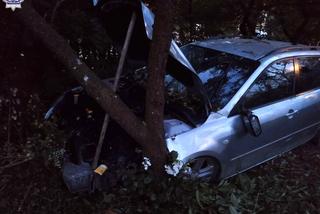 Lubelskie: Obudził go huk. Pijany nie złapał się płotu, tylko od razu w niego wjechał [GALERIA] 