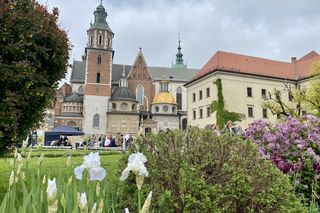 Tajemnicze miejsce mocy w Polsce. Do Krakowa zjeżdżały tłumy, by naładować się energią czakramu. Gdzie jest czakram i skąd ta legenda?