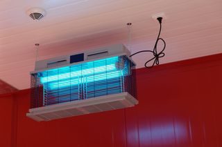 Lampa UV na owady. Jak działa lampa owadobójcza i czy jest bezpieczna dla ludzi?