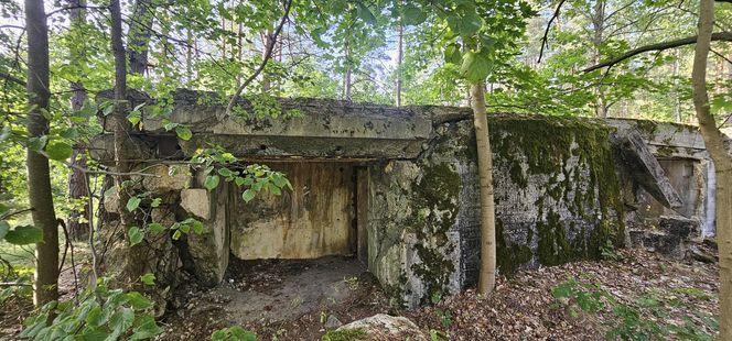 Odwiedziłam jeden z piękniejszych powiatów na Mazurach. To prawdziwy „szlak bunkrowy”