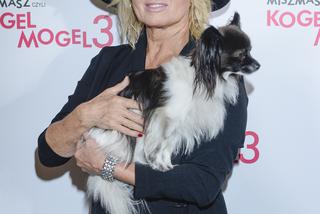 Rzucił Kasprzyk na kolana. Ewa Kasprzyk z pieskiem Shakirą