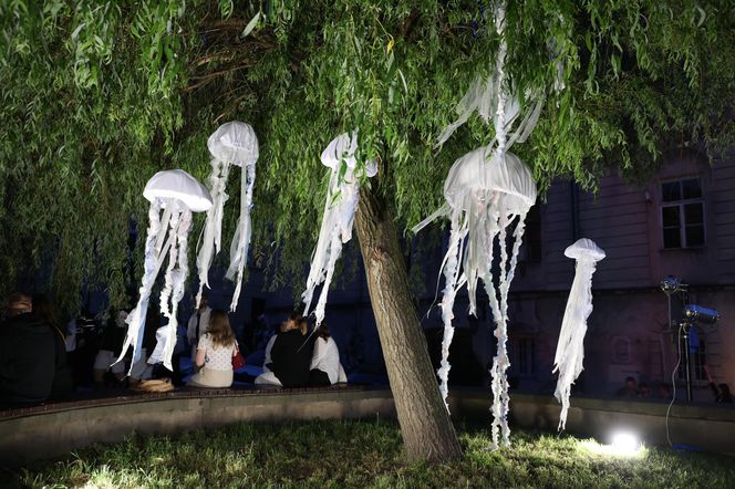 Tak było podczas lubelskiej Nocy Kultury 2025