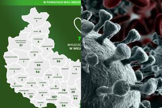 Koronawirus w Wielkopolsce. Blisko 800 osób wyzdrowiało! [RAPORT]