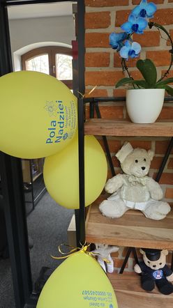 Hospicjum dla Dzieci Caritas w Olsztynie