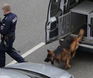 Wszedł na pomnik i twierdzi, że ma bombę. Policyjni negocjatorzy rozmawiająz desperatem