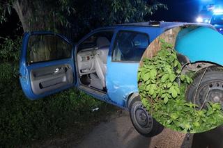 Włocławek. Nie zatrzymał się do kontroli. 19-latek zakończył ucieczkę na drzewie [ZDJĘCIA]