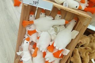 Gęś Pipa trafiła do hipermarketu. Jej cena zaskakuje!