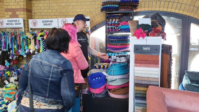 Futrzasty zawrót głowy w Bydgoszczy! Za nami Targi dla Zwierzaków w Gwar Foodhall