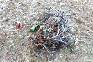 Szczecińscy strażnicy miejscy zatrzymali kolejnego truciciela