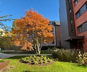 Osiedle Riverview w Gdańsku