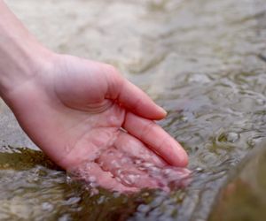 Tatry: napiła się wody ze strumienia i prawie umarła. Zagrożenie nie tylko w Słowacji