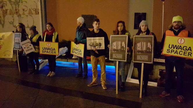Ekolodzy boją się o dziki. Wyszli na ulice Bydgoszczy, by zaprotestować
