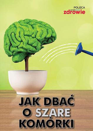 e-poradnik - Jak dbać o szare komórki