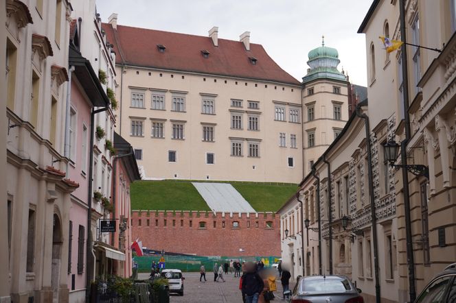 Widok na Wawel