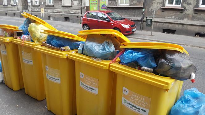 Bydgoszczanie mają już dość! Wciąż toną w śmieciach!