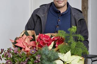 Gwiazda betlejemska jako prezent