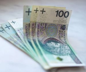 Najważniejszy rating Polski. Co z polską walutą i kredytami?